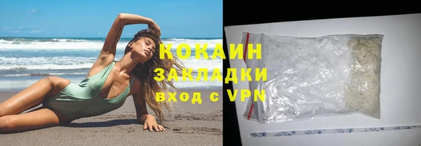 шишки Абаза