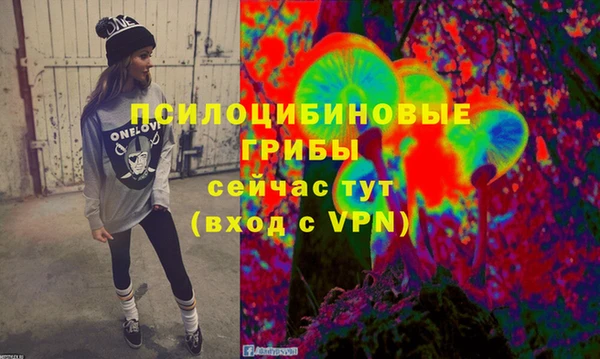 первитин Алексеевка
