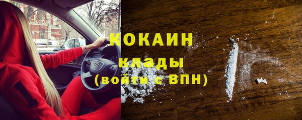 шишки Абаза