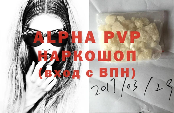 шишки Абаза