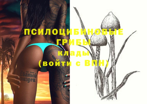 герыч Алзамай